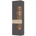 Vitrine mit 1 Glast¨¹r aus Holzwerkstoff in Wolframgrau und Planken-Eiche, 60,4 ¡Á 203,3 ¡Á 41,3